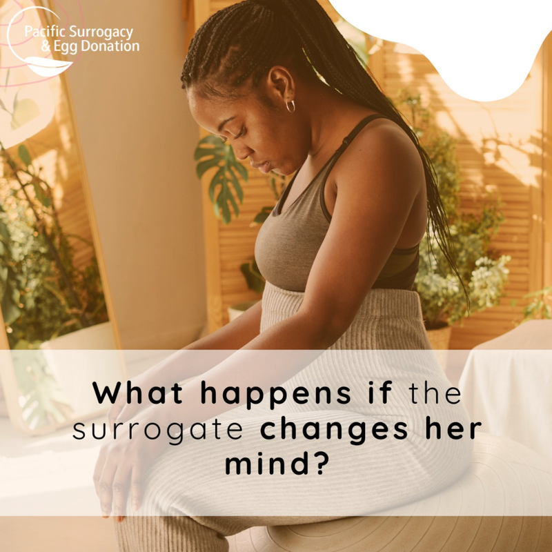 Surrogacy & Egg Donation